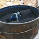 서울대학교 대동물병원 이미지