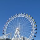 맛있게싸게 홍게대게 | 속초홍게포장 맛집 가성비 미친 중앙시장 "예스수산" 추천