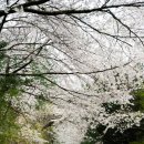 무등파크 골프연습장 이미지