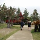 순천만그리고나 이미지