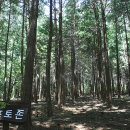 별이머무는곳 이미지