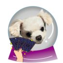 성학 | [천안타로 천안사주 후기] 천안데이트코스 포춘타로점성학사주 – 사주·타로·점성학 한 번에!