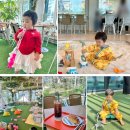 한성자동차(주) | 내돈내산 15개월 아기랑 김포 석모리 카페샌디즈