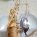 반달농장 이미지