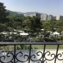 포레스타 이미지