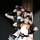 타이거G&S