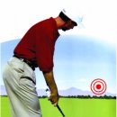 베스트골프 이미지