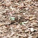 천반산휴양림화장실 | [일반산행_천반산] 내륙의 신비의 섬 죽도 &amp; 천반산