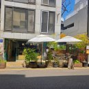 압구정길약국 | [서울/강남]신사동맛집 압구정역 신사역 맛집 비건레스토랑 핀치브런치바 내돈내산 후기
