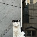 정하세탁 이미지