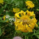 천인농장 이미지