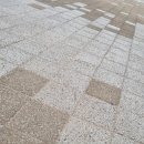 세류2동 1107 이미지