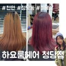 [천안 청당동 미용실] 탈색모 원컬러 염색 후기｜하요룸헤어 청당점