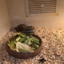 한나래유치원 이미지