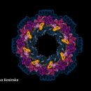 WHAT’S NEXT? 이미지