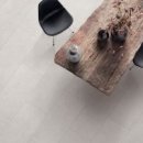 반려마루 동물병원 이미지