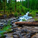 계곡&풍경 이미지