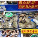 충남꽃게