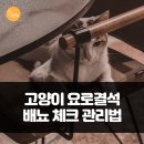 주식회사 요로