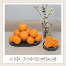 준 농장 | 제주왓귤농장 직배송 해주는 가정용 제주감귤 천혜향 3kg 후기