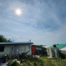 금반농장 이미지