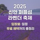 퍼플섬민박 이미지