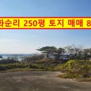 서귀포하나로공인중개사사무소 이미지