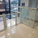 플라잉독 이미지