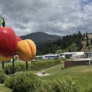 광업농장 이미지