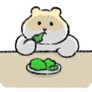 프로틴짐 네이버블로그