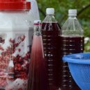 산적농장 이미지