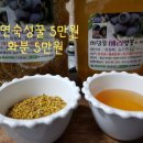 비당뜰베리