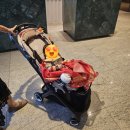 러브힐 | 워커힐 금룡 한강1룸 돌잔치 후기 - 더헤디 / 러브준 /리틀연작 아이폰스냅 / 돌잔치 타임라인