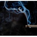 술은 간, 담배는 폐? 흡연이 간에 일으키는 문제 이미지