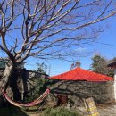 마당바베큐 이미지