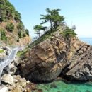 바다부채길1 이미지