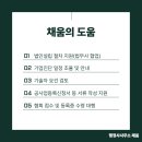 채움법무사사무소