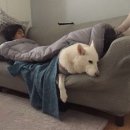 듀