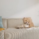 대공원로 이미지