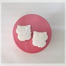 비타민 숲 | 내돈내산 이른숲속 오쮸 비타민 한달후기 [어른섭취]