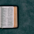 (주)신비로 이미지