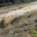 숲부동산중개사무소 이미지