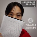 스페인어 화상수업 델레A2 회화 - 에스뜨레야 에스파뇰 수업후기