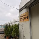 문산화원 | 파주 조인폴리아 박쥐란 쇼핑후기 (식집사 천국)
