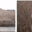 장수수퍼민박 이미지