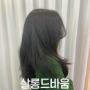 굴포천역미용실 부시시한 머리 카나토클리닉 살롱드바움