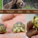 거북 파크 이미지