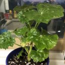 이레축산 이미지