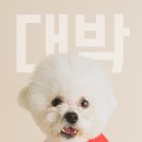 백돌스냅