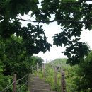 단영한우 | [소백산]소백산 비로봉 - 국망봉 - 초암사 , 삼가초암코스, 자락길